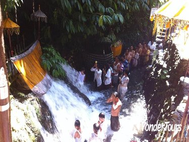 Private Bali Full Day Traditional Village and Hidden Canyon with Lunch