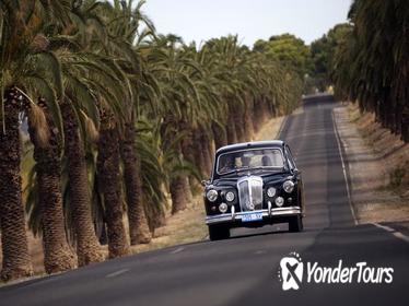 Private Barossa Valley Winery Tour by Classic 1962 Daimler from the Barossa Valley