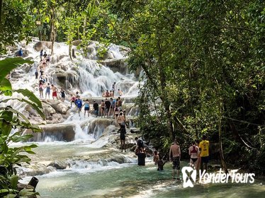 Private Blue Hole and Dunn's River Tour from Montego Bay
