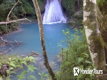Private Blue Hole and River Gully Rainforest Adventure Tour from Montego Bay
