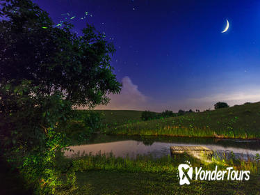 Private Bohol Evening Firefly Watching Cruise