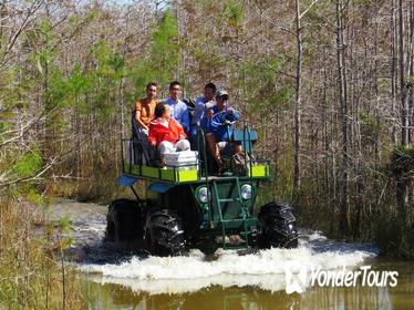 Private Buggy and Walking Tour Through the Everglades