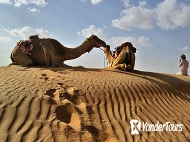 Private Camel Safari Tour to Oman Wahiba Sands