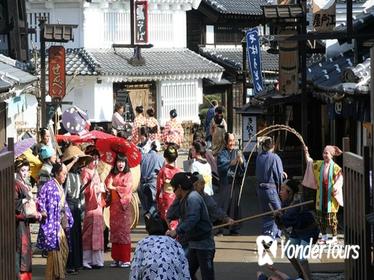 Private Chartered Taxi Tour to Nikko from Yokohama