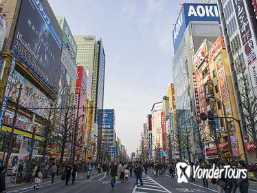 Private Custom Full Day Tokyo Manga Anime Tour by Chartered Vehicle