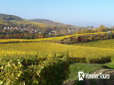 Private Custom Tour of Alsace Region with Wine Tasting from Strasbourg