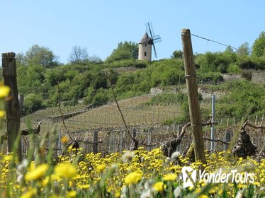 Private Day Tour to Burgundy Wine Region from Paris Private Day Tour to Burgundy Wine Region from Paris