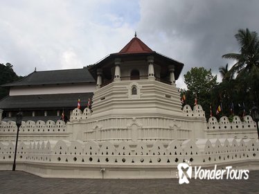 Private day tour to Kandy and Pinnawala from Negombo Private day tour to Kandy and Pinnawala from Negombo