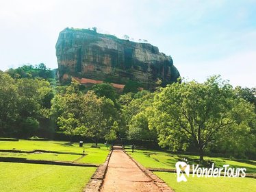 Private day tour to Sigiriya and Dambulla from Negombo Private day tour to Sigiriya and Dambulla from Negombo