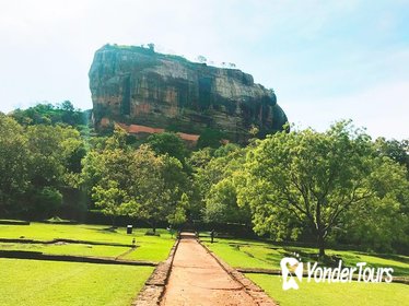 Private day tour to Sigiriya and Dambulla from Negombo