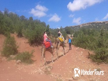 Private Day Trip from Marrakech: Camel Ride and Hike in the High Atlas Mountains