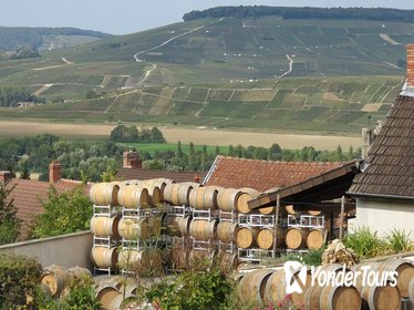 Private Day Trip to Champagne from Paris