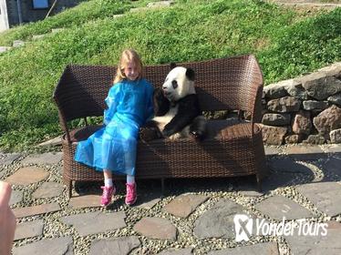 Private Day Trip to Dujiangyan Panda Center with Panda Holding Option