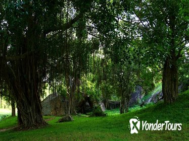 Private Day Trip to Twin Kingdoms from Kandy Private Day Trip to Twin Kingdoms from Kandy