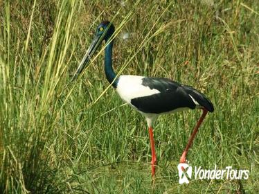 Private Day Trip: Bharatpur and Keoladev Ghana Bird Sanctuary from Agra