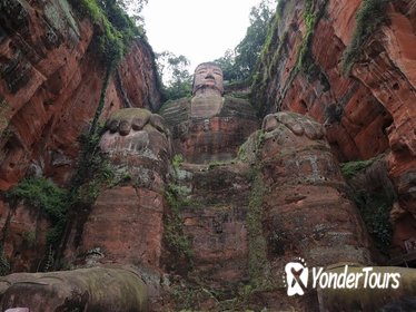 Private Day Trip: Chengdu Research Base of Giant Panda Breeding and Leshan Grand Buddha Private Day Trip: Chengdu Research Base of Giant Panda Breeding and Leshan Grand Buddha