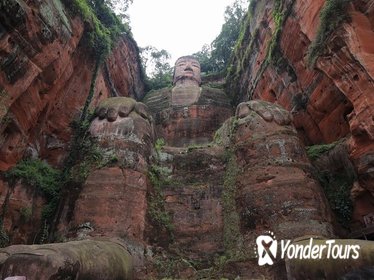 Private Day Trip: Chengdu Research Base of Giant Panda Breeding and Leshan Grand Buddha