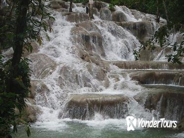 Private Dunns River Falls Day Trip from Montego Bay and Grand Palladium