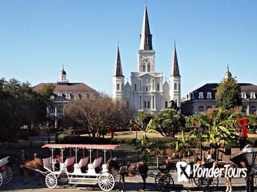 Private French Quarter Walking and City Surrounding Neighborhoods Driving Tour