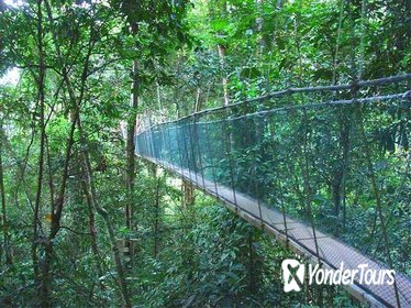 Private Full Day Kinabalu National Park Tour Including Lunch