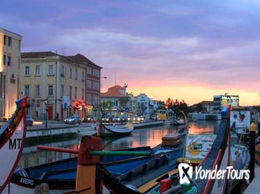 Private Full Day Tour of Aveiro from Porto
