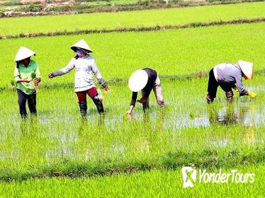 Private Full-day Mekong Tour From Ho Chi Minh City, Including River Cruise