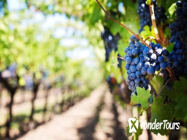 Private Full-Day Napa Valley Wine Tour From San Francisco Private Full-Day Napa Valley Wine Tour From San Francisco