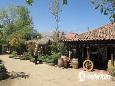 Private Full-Day Santiago and Neighborhoods Tour