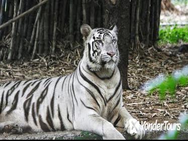 Private Full-Day Tour of Arignar Anna Zoological Park from Chennai