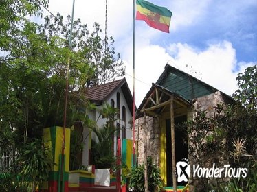 Private Full-Day Tour to Blue Hole Fern Gully and The Bob Marley Home and Mausoleum, from Kingston