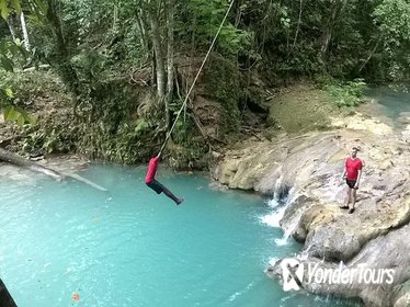 Private Full-Day Tour to the Blue Hole and River Gully Rain Forest from Kingston