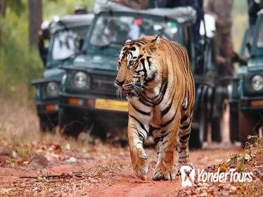 Private Golden Triangle Tour with Ranthambore from Delhi