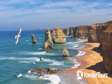 Private Great Ocean Road and 12 Apostles Express Tour from Melbourne