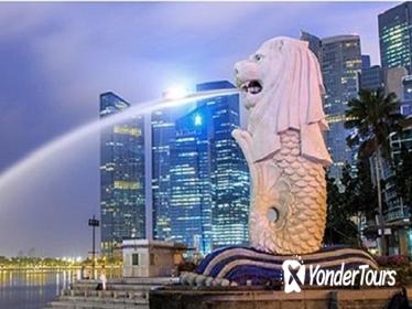Private Group Half-Day Singapore Discovery Tour