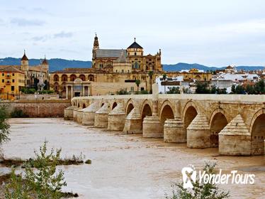 Private Guided City Tour of Cordoba