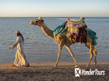 Private Guided Day Tour of Tangier