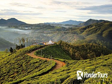 Private Guided Hike to Single Tree Hill in Nuwara Eliya