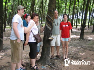 Private Half-Day Cu Chi Tunnels Tour from Ho Chi Minh City