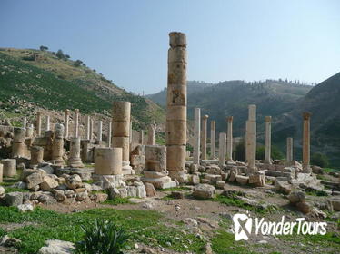 Private Half-Day Pella Tour from Amman