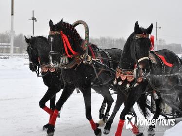 Private Half-Day Tour of St Petersburg's Royal Suburbs Including a Horse Ride in a Traditional Russian Sleigh