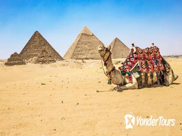Private Half-Day Tour: Giza Pyramids and Sphinx by Camel or Horse