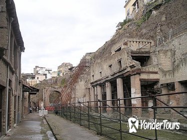 Private Herculaneum and Archaeological Museum Tour from Rome