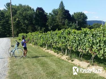 Private Hudson Valley Winery and Distillery Bike Tour