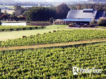 Private Hunter Valley Day Trip from Sydney Including Wine, Chocolate and Cheese Tasting