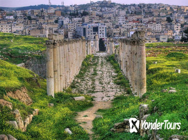 Private Jerash Half Day Tour from Dead Sea