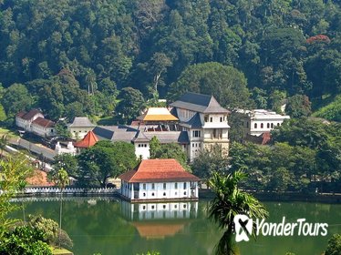 Private Kandy Day Tour from Colombo