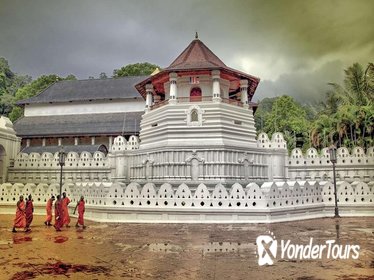 Private Kandy Day Tour with Pinnawala From Colombo
