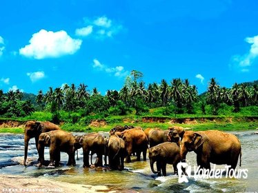 Private Kandy Day Tour with Pinnawala From kalutara
