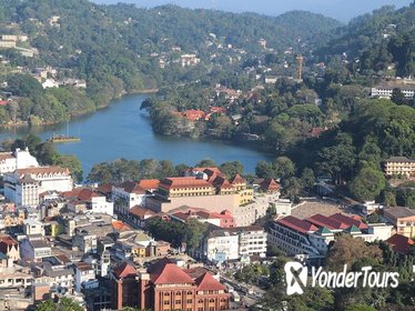 Private Kandy Tour by Air-Conditioned Car: Do it All in One Day Private Kandy Tour by Air-Conditioned Car: Do it All in One Day