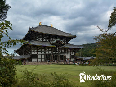 Private Kyoto and Nara Tour with a Professional Photographer
